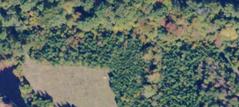 60.53 Acres in Halifax County