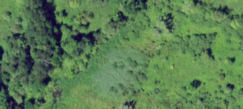 Versatile Commercial Property on 6.56 Acres
