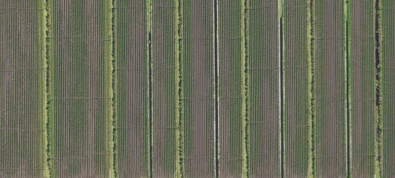 32-Acre Farm on Highway 27