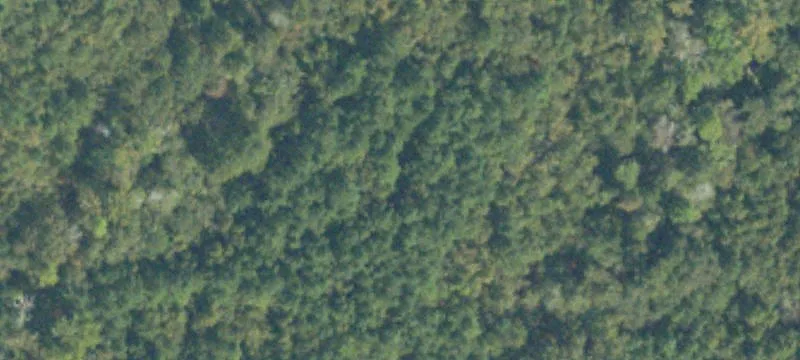 3.25 Acres on Windsor Spring