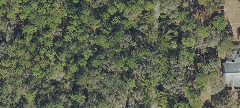 Vacant Land in Growing Area