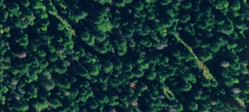 Untouched Land in Haskill Basin