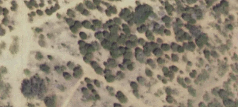 Turnkey High Fenced Hunting Ranch