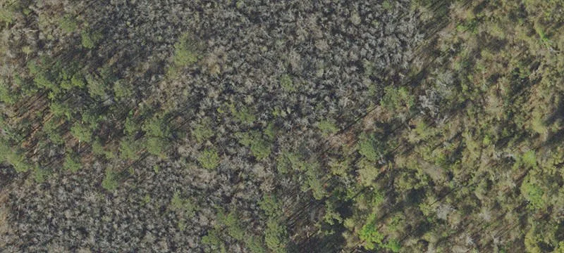 Highway 231 Commercial Land