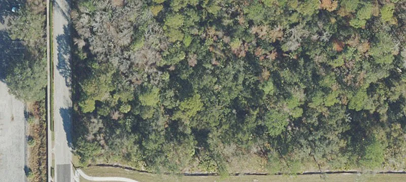 Land Near Orlando Airport