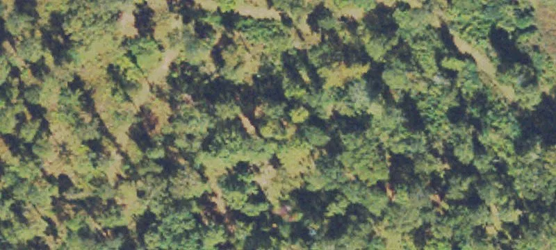Commercial Land For Sale