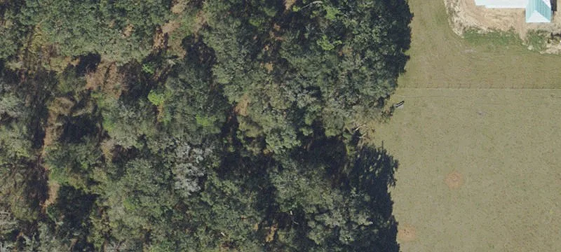 Residential Land in Plant City