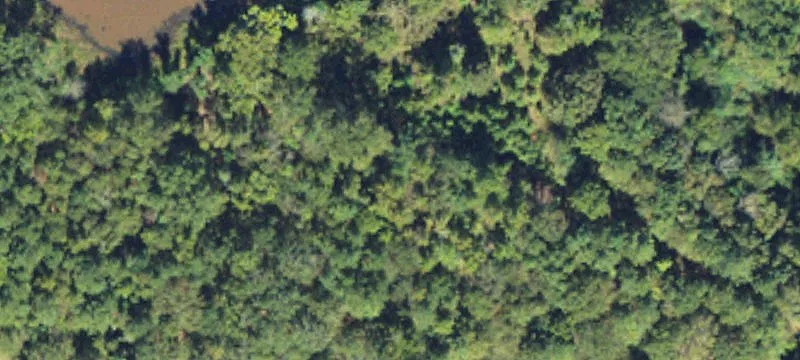 Investment Land Near Interstate