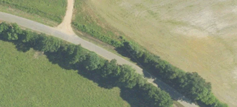 Dallas County Row Crop Farm