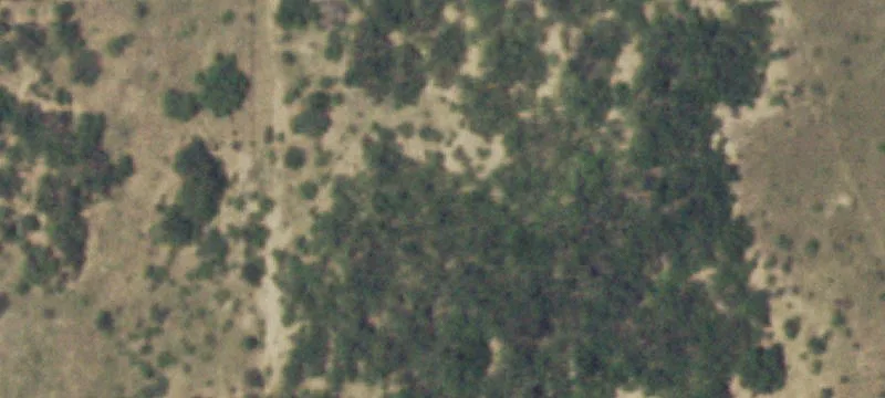 High-Fenced Ranch in Starr County