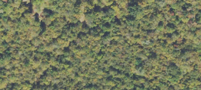 Land Tract Near Macon
