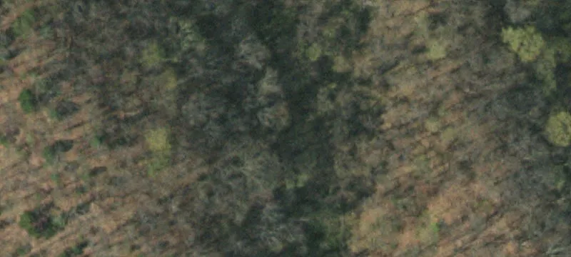 49.5 Acre Tract on Hwy