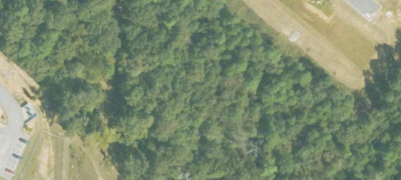 Richmond County Land Opportunity