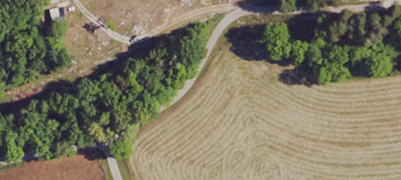 363 Acres Hunting Paradise