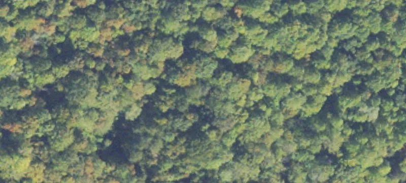 Stafford County Land For Sale