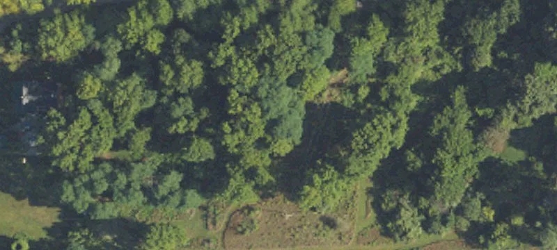 37 Acres in Webster Township