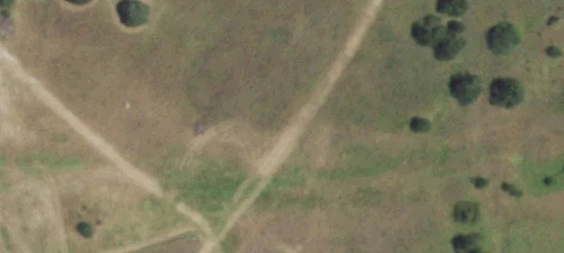 Land Near Farmersville Schools