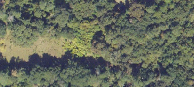 Commercial Land on U.S. 41