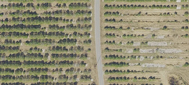 200 Acres Development Opportunity
