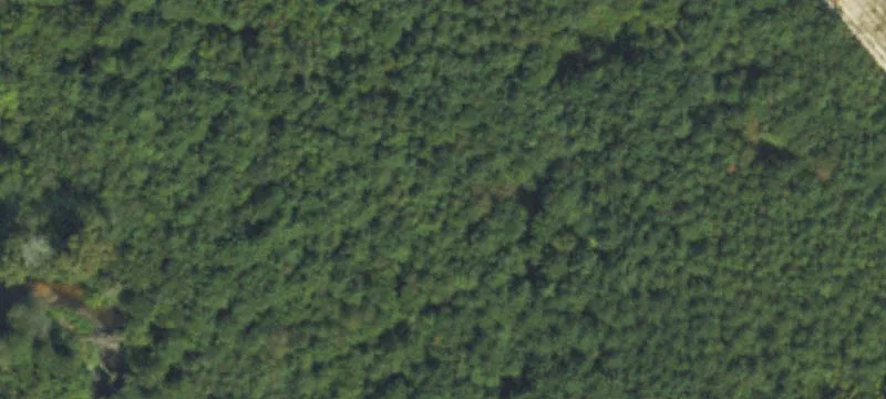 Lenoir County Land For Sale