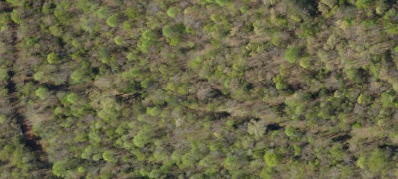Prime Land with I-85 Frontage