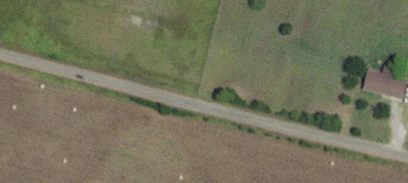Land for Livestock or Home