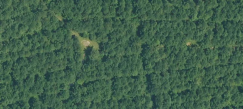 239 Acre Vacant Land Tract