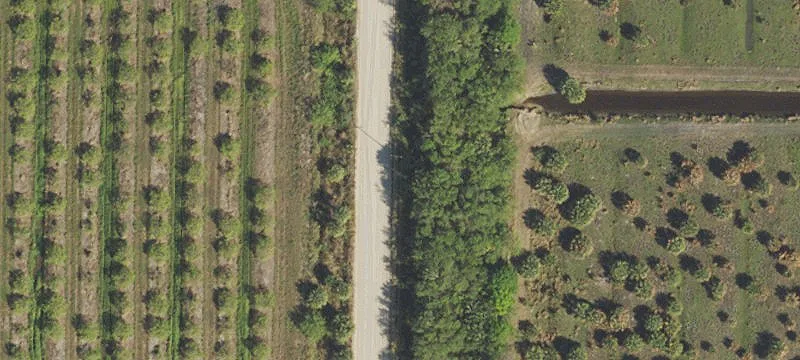 Prime Agricultural Land in Florida