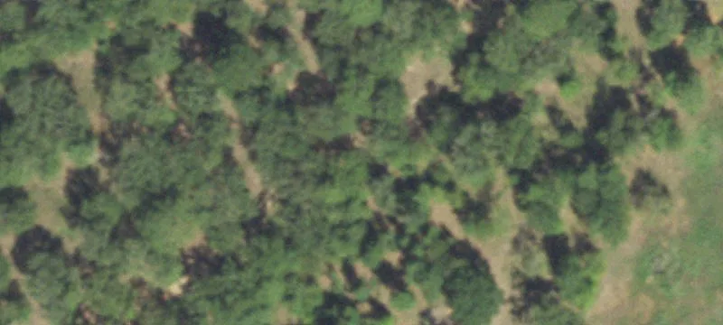 Commercial Land For Rent