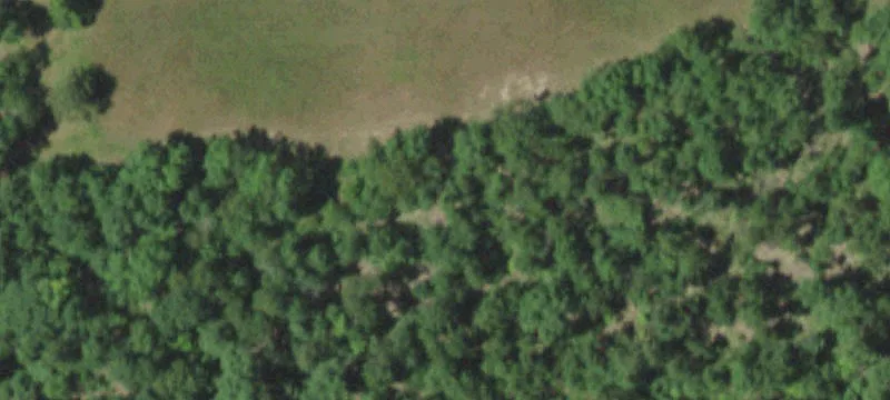 Remodeled Home with Land