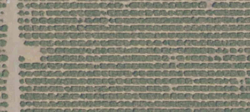 Land