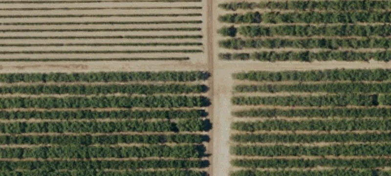 636 Acre Ranch with Almonds