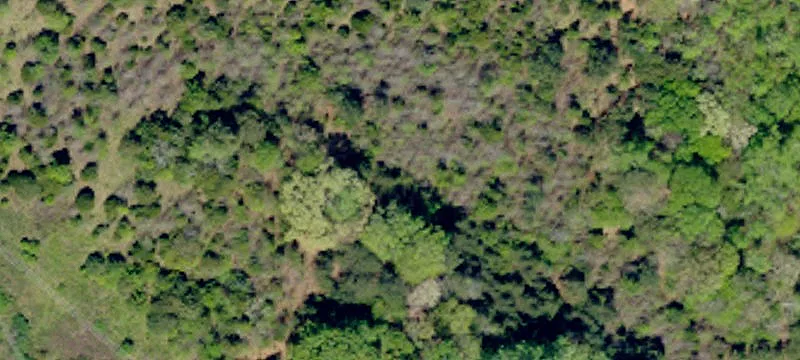 Land Available Near I-385