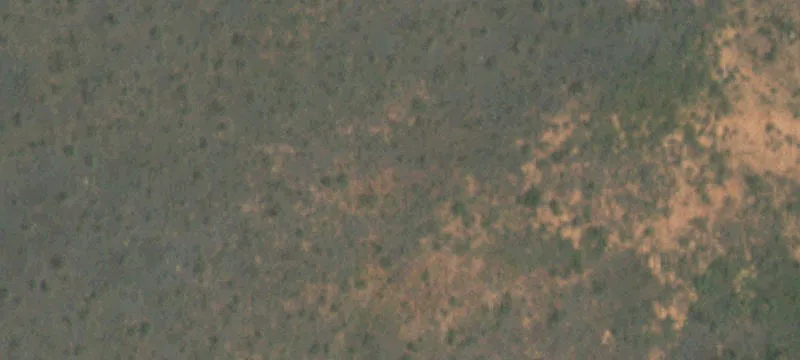 14.15 Acres of Land