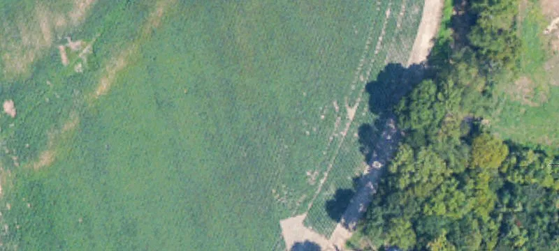 110 Acre Development Site