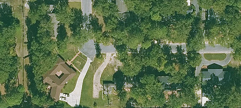 19.2 Acres Timber Investment Property