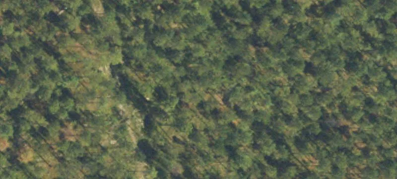 Residential Land on Newnan Bypass