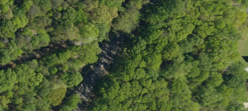 12.4 Acres Assemblage in Indian Land