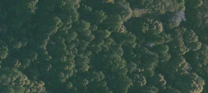 Coastal Ranch with Timber Resources