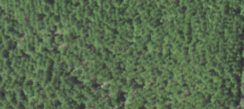 Land with Road Frontage