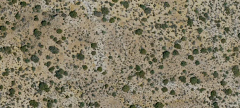Historic Desert View Tower Property