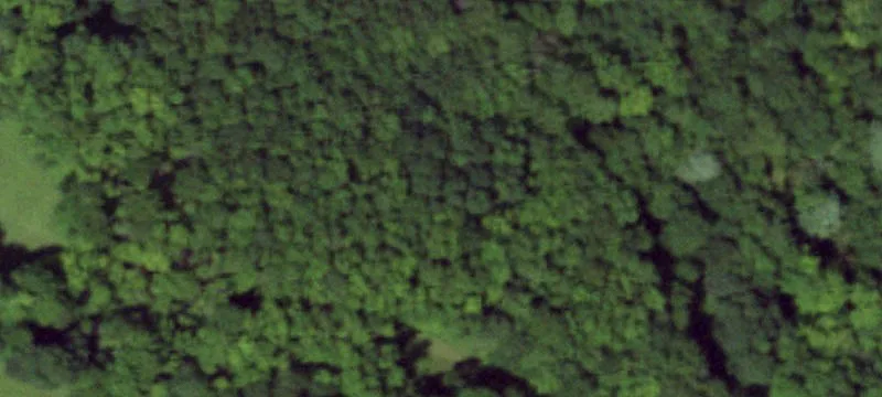 200+ Acre Mixed Opportunity Site