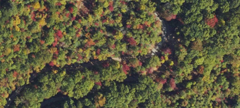 Sanctuary at Mountain Grove View