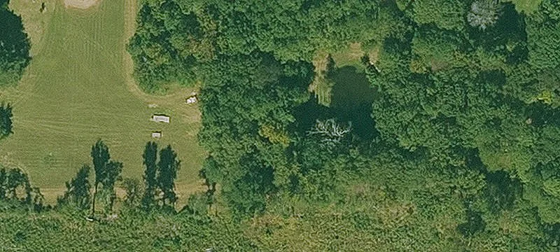 Secluded Timber and Hunting Land