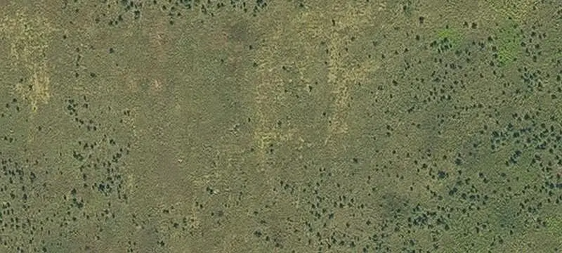 29 Acre Development Tract
