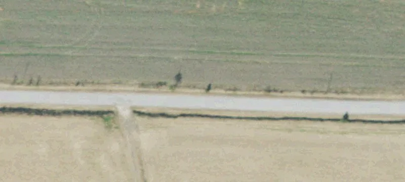 Land Near Blue Oval City
