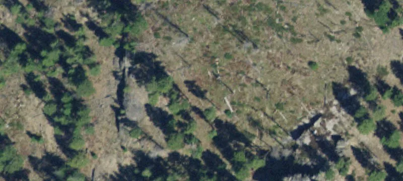 6.05 Acres in Bitterroot Valley