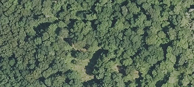 75 Acres Horse Farm Potential