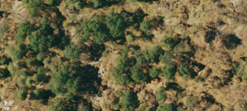 Sequoia Glamping Retreat Opportunity