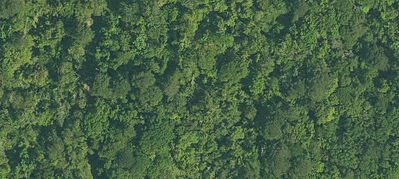 21 Acre Tract For Sale